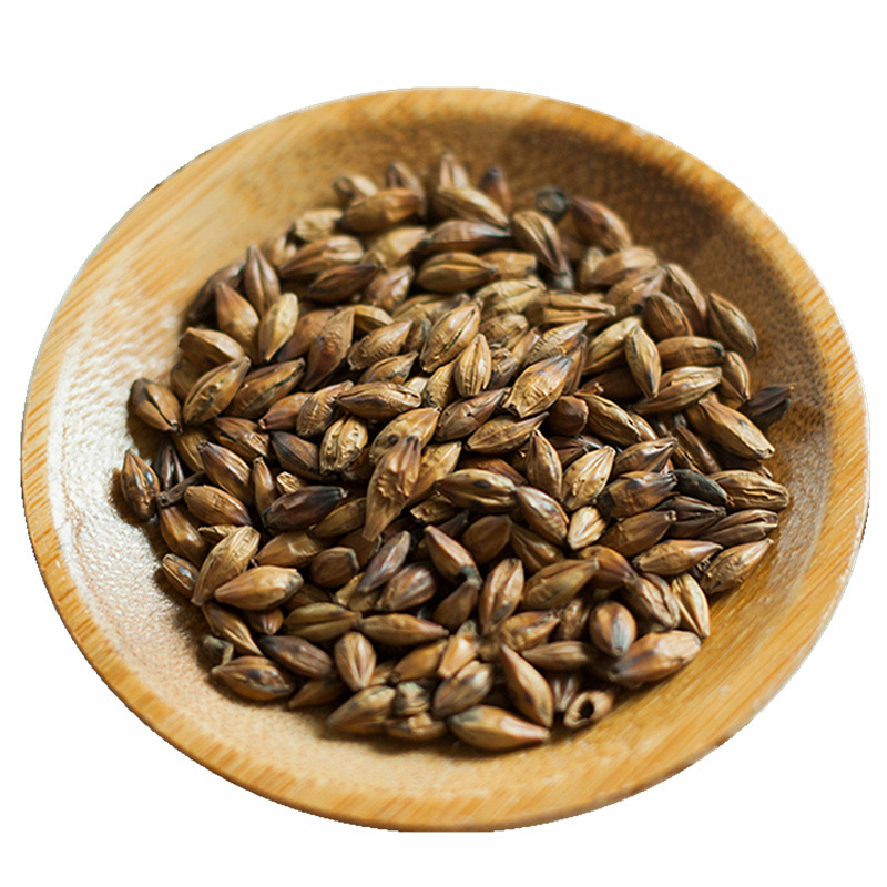 产地直供新货浓香型大麦茶 烘焙炒熟原味花果茶散装大麦茶批发