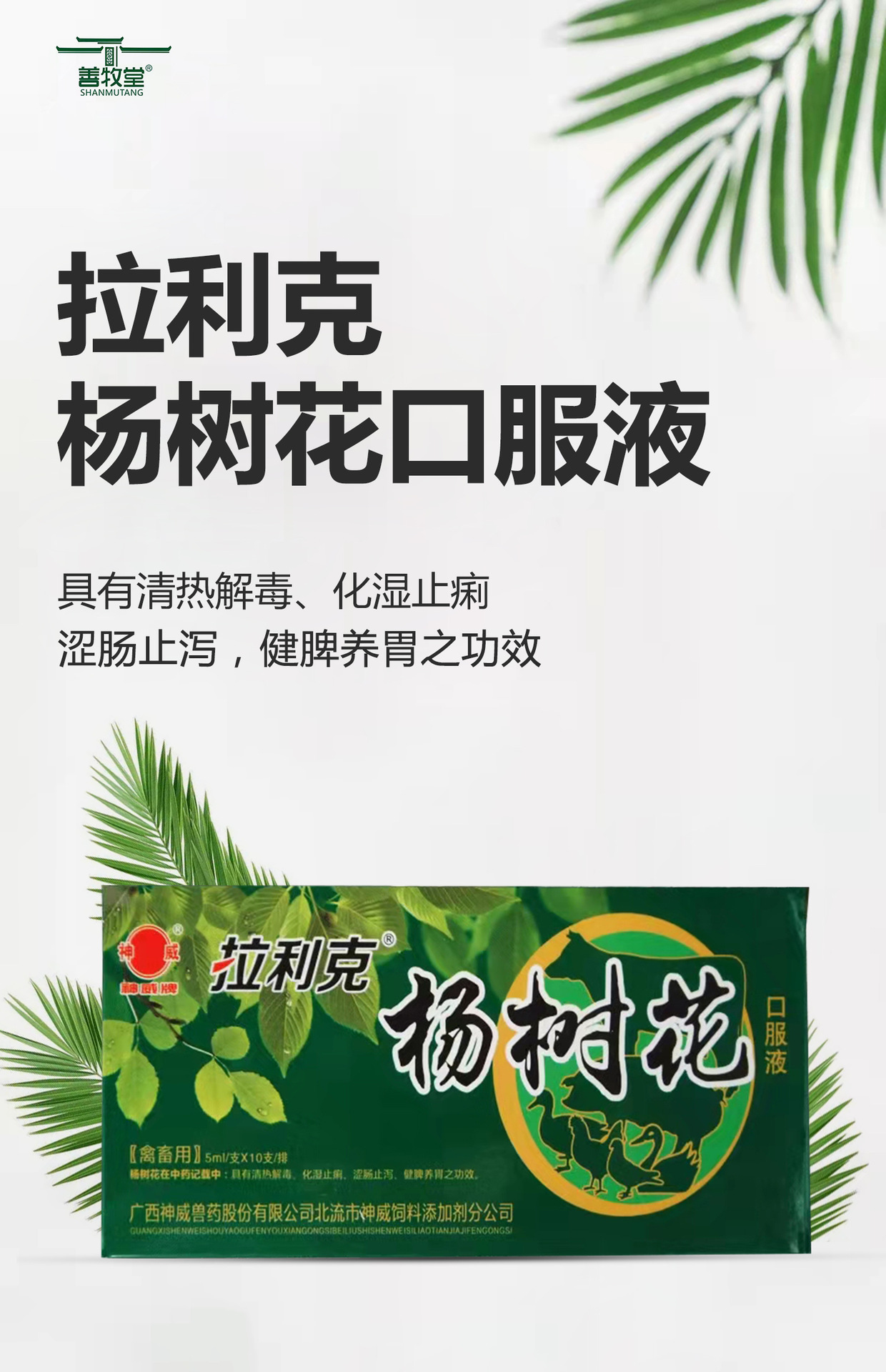兽药杨树花口服液5毫升x10支装仔猪痢疾羔羊拉稀鸡鸭鹅兔子黄白痢