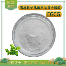 表没食子儿茶素没食子酸酯98% EGCG 绿茶提取物 989-51-5 100g/袋