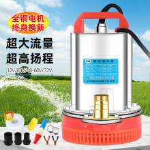 直流潜水泵抽水机12V24V48V60V电瓶电动车充电抽水泵农用种地灌溉