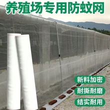 大棚防虫网农用养殖网蔬菜网蝗虫果树果园网防鸟网尼龙网加密加厚