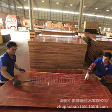 广西建筑模板木工板厂家中南神箭整车批发严控每道工序合格出厂