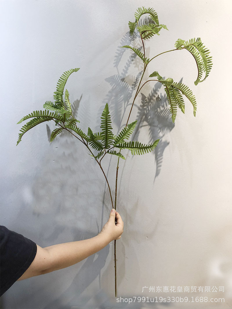 单枝大号蕨叶芒萁蕨类观叶植物仿真蕨草鸡爪蕨仿真花厂家现货批发
