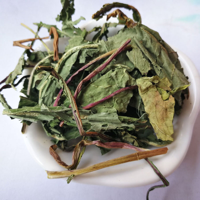 5 kg批发蒲公英 蒲公草 中草药材婆婆丁 中草药黄花草 蒲公