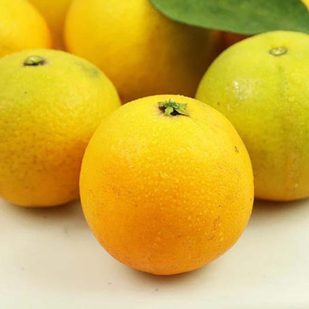 屈姑秭归脐橙 夏橙 橙子当季新鲜水果5斤/9斤整箱包邮 现摘现发