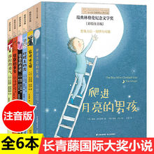 小小长青藤国际大奖6册爬进月亮男孩莎拉勇气会说话猫灯塔上的光