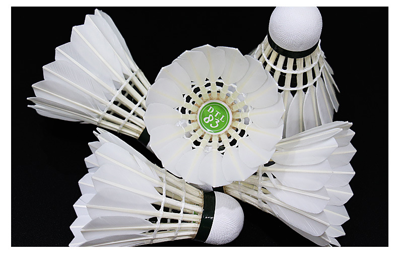 亚狮龙/rsl 大桐利系列羽毛球 dtl-81 82 83 84 85俱乐部训练用球