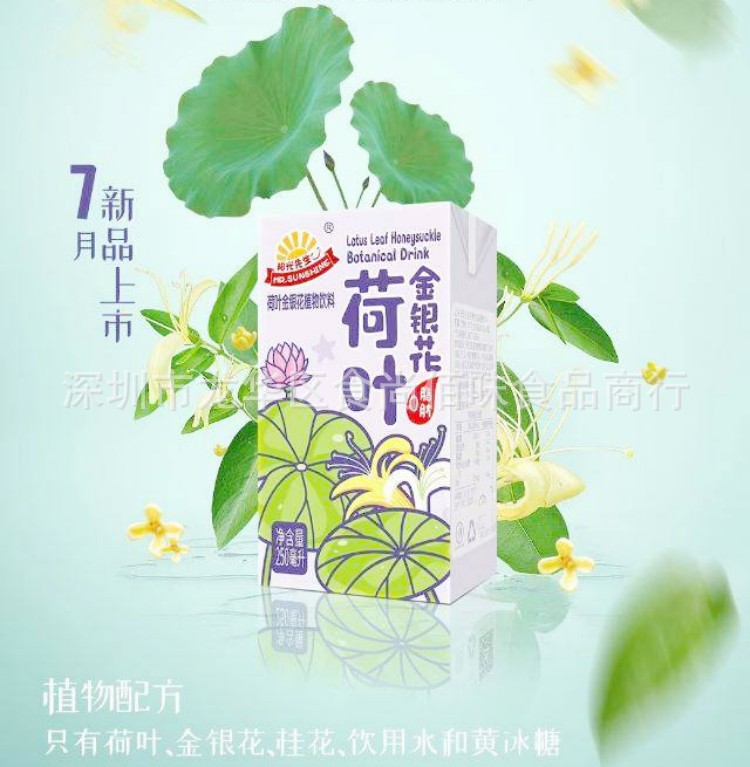 批发阳光先生荷叶金银花植物饮料夏季饮品250ml 24盒一箱