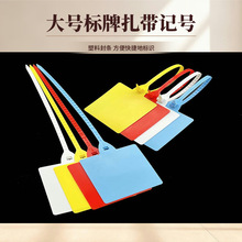 大号标牌扎带一次性塑料封条快递挂签物流封签园林树苗塑料标牌