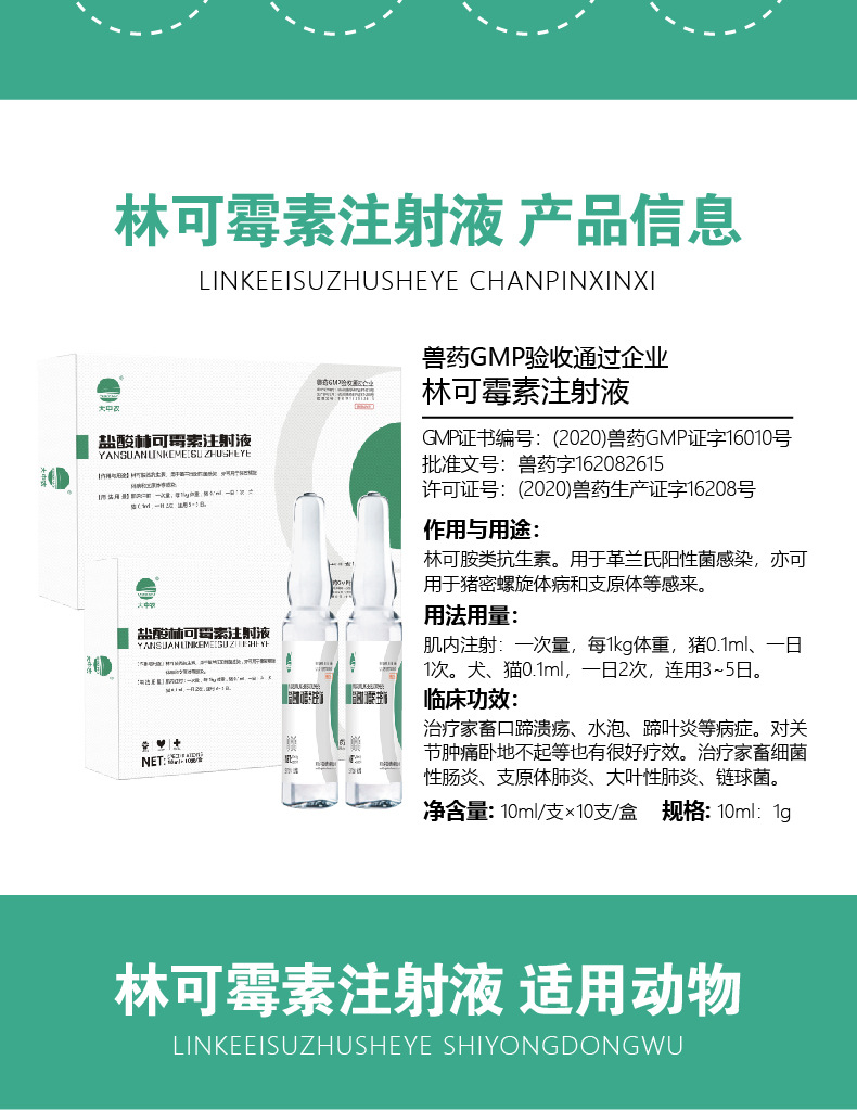 大中农10%盐酸林可霉素注射液兽药猪牛羊犬猫用针剂兽用