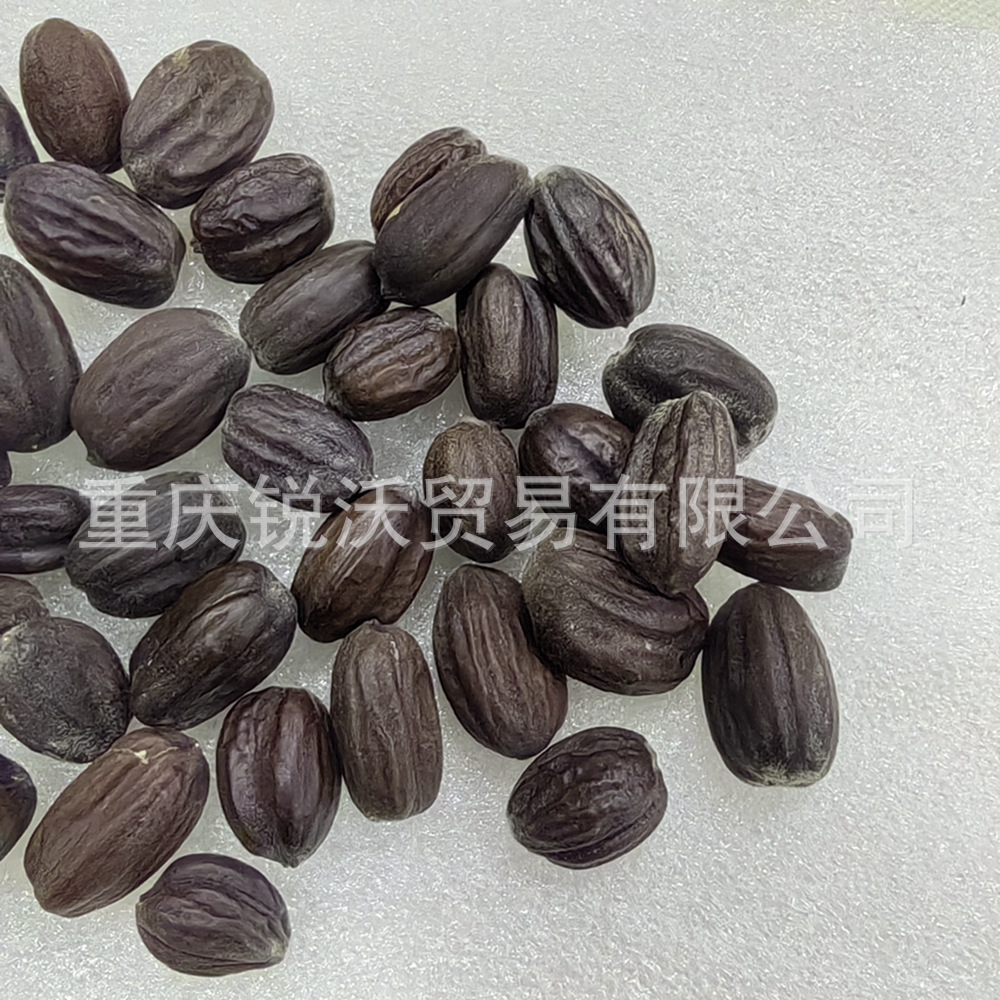 100克 Jojoba霍霍巴种子原始干荷荷巴籽可榨油科研使用