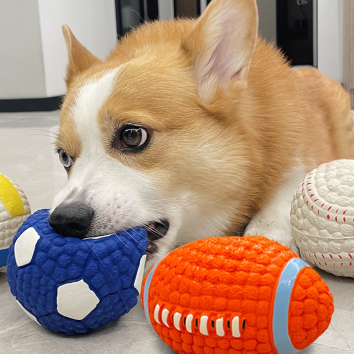 宠物狗狗玩具耐咬磨牙发声球解闷神器小狗柯基幼犬金毛大型犬