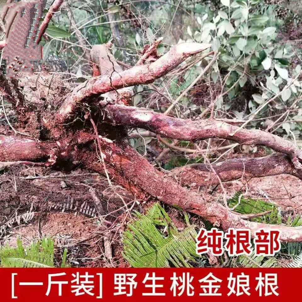 山棯子根高山桃金娘根 岗稔根干品品根500g