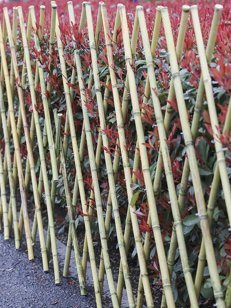 加粗碳化竹子篱笆栅栏围栏植物爬藤花架庭院月季支架阳台护栏隔断