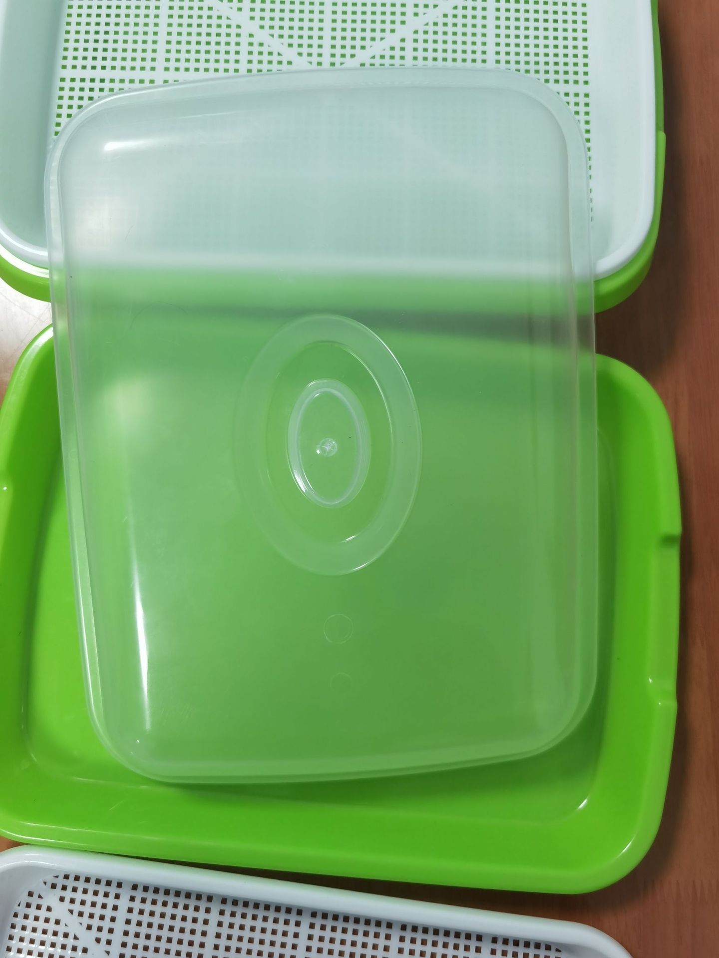 带盖子芽苗菜盘育苗盘纸上种菜育苗盆双层种植盘水培豆芽盘-阿里巴巴