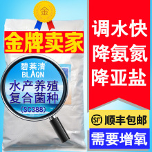 碧莱清水产养殖复合菌专降氨氮亚盐含硝化反硝化菌净化水质