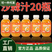 350ml*20实惠装】沙棘汁果汁整箱实惠装20瓶沙棘小果鲜榨酸甜饮料