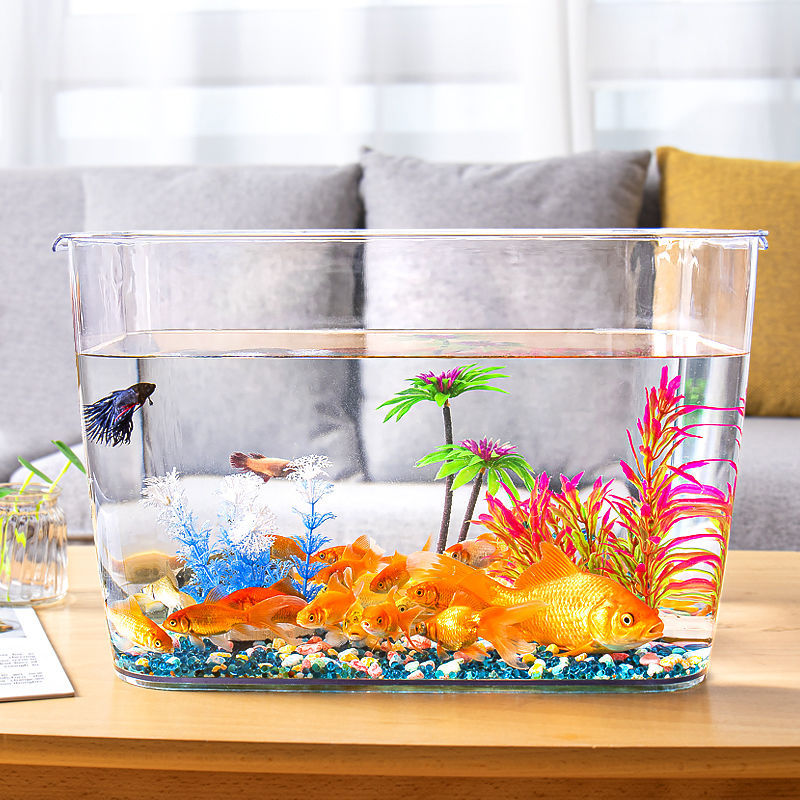 斗鱼鱼缸白鱼缸塑料桌面客厅正太小型乌龟缸造景懒人养鱼水族箱