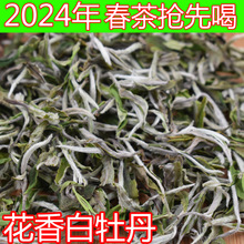 2024年福鼎白茶春茶头采白牡丹散装500g高山花香牡丹新茶厂家批发