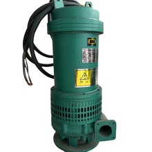 BQW20-40-5.5 矿用防爆潜水排污水电泵 山东大洋厂家现货