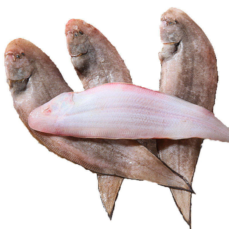 整箱商用冷冻舌头鱼10kg 牛舌鱼 塔米鱼舌鳎鱼餐饮食堂自助小吃