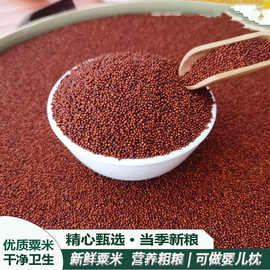广西特产红粟米鸭脚粟龙爪粟拳头粟掺子糙米五谷杂粮代餐粗粮