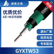 厂家直销 12芯GYXTW53光缆GYXTW53-12B1室外中心束管双铠地埋光缆