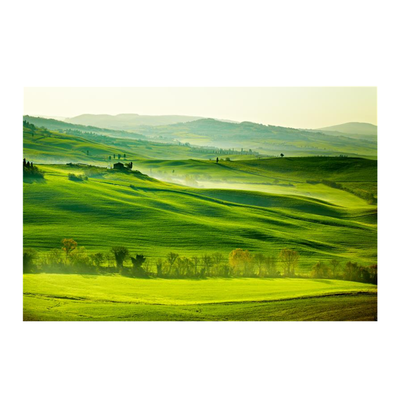 大自然清新绿色背景墙布客厅沙发大树壁画田园风草原山坡卧室壁布