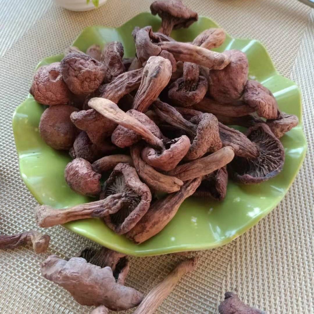 东北红蘑 长白山纯野生红松伞蘑菇 肉蘑 新货菌菇 干货野生松树蘑