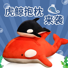 大红黑虎鲸抱枕毛绒玩具卡通动漫周边二次元鲸鱼海豚公仔娃娃女生
