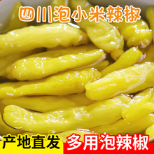 东北野山椒泡椒鸡爪小米椒下饭菜火锅压碟小菜酸甜辣开胃酱腌咸菜