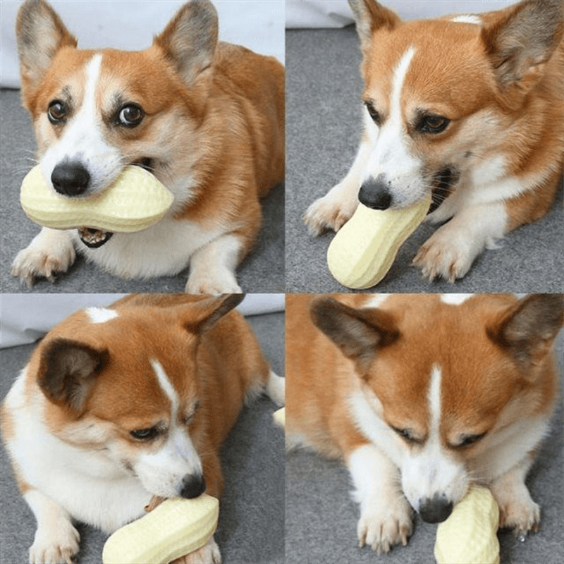 Pet Dog Sound Toy Peanut Relieving Stuffy Artifact Molar Long Lasting Corgi Teddy Shiba Inu Small Dog Toy Ball