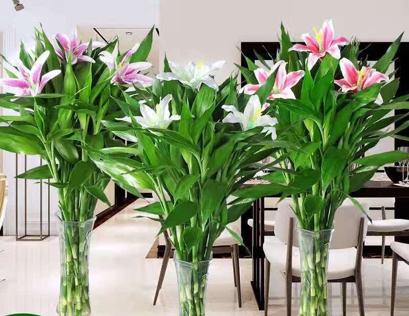 百合竹富贵竹加仿真百合花观音竹水养植物吸办公室客厅厂家直销