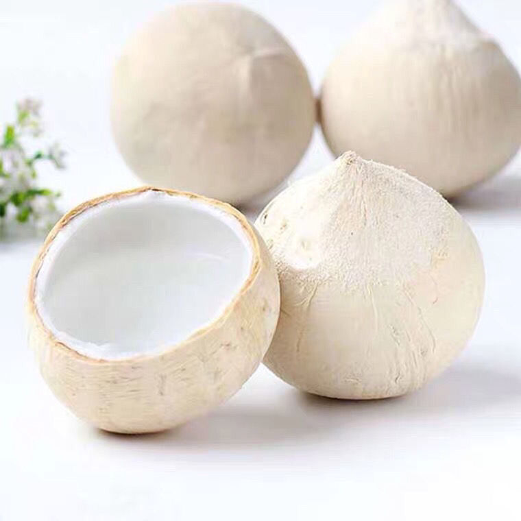 泰国牛奶椰皇新鲜小椰子水果小香椰香水椰王椰奶椰青奶香椰汁孕妇