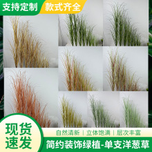 仿真绿植造景洋葱草盆栽仿真草假花工艺品单支把束大洋葱草植物