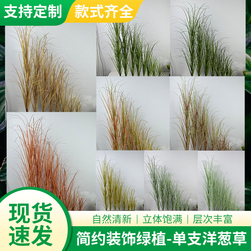 仿真绿植造景 仿真洋葱草仿真草假花工艺品单支大洋葱草植物