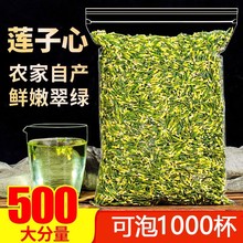 可尝新鲜莲子心莲子芯茶新货莲子心茶的功效莲蓬