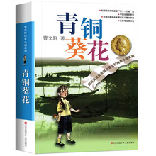 青铜葵花 曹文轩 纯美小说草房子根鸟四年级下册课外阅读