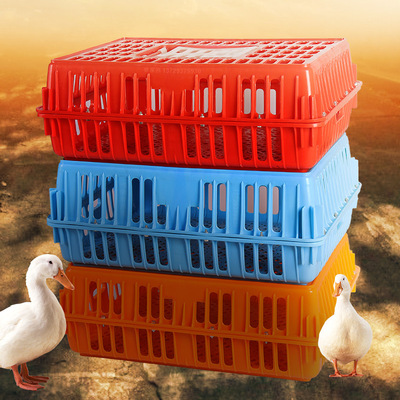 鸭笼塑料运输笼定制运输鸡鸭鹅笼子成鸡周转笼弹簧翻盖家禽周转箱