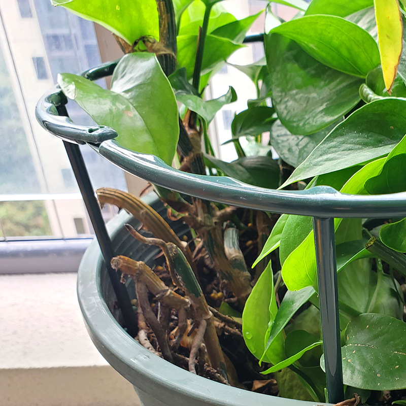 新款可连接u型盆栽支撑花支架单支可用多枝围成圈家庭园艺小花架