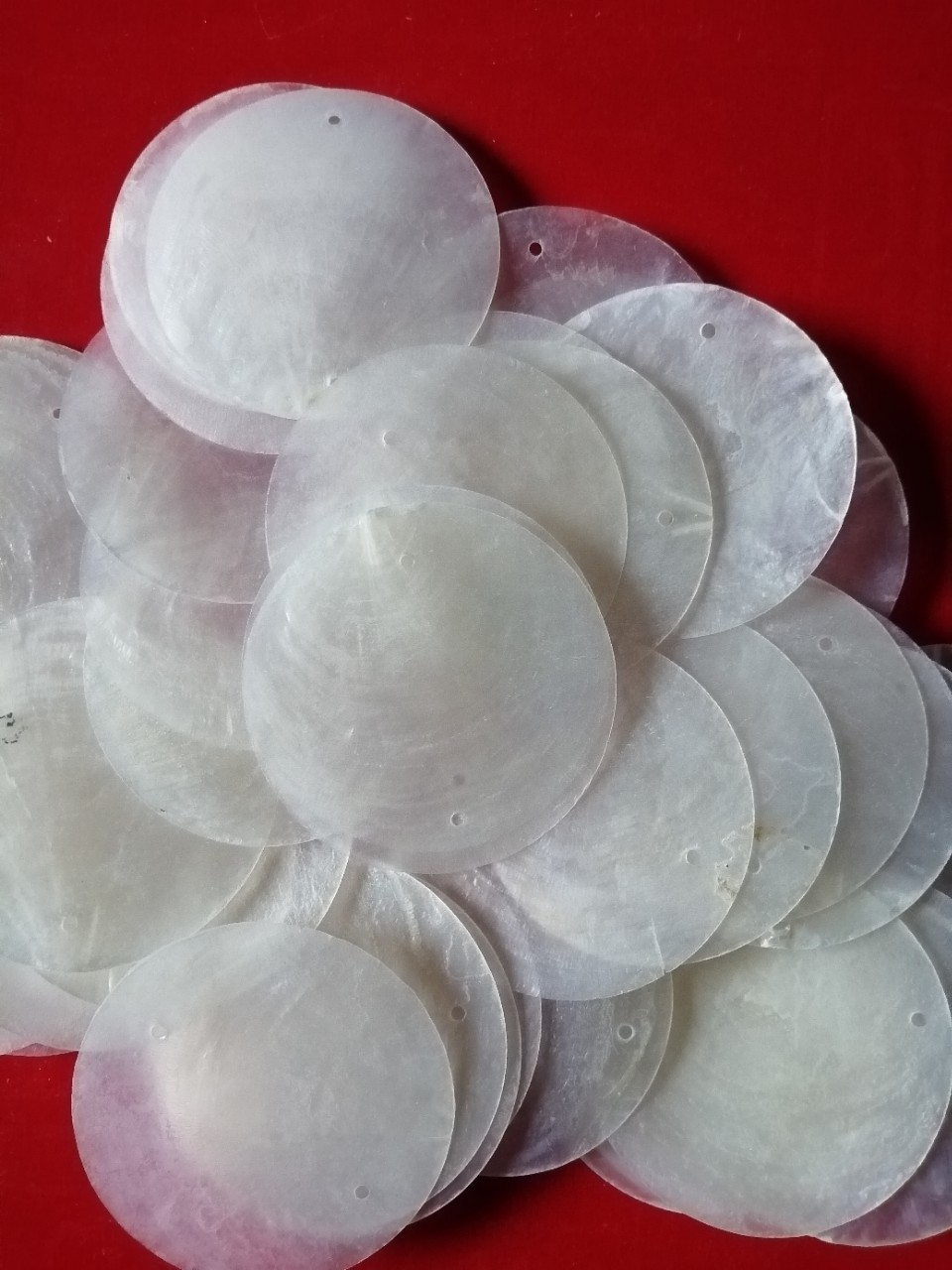 厂家批发镜贝彩色50圆片双孔