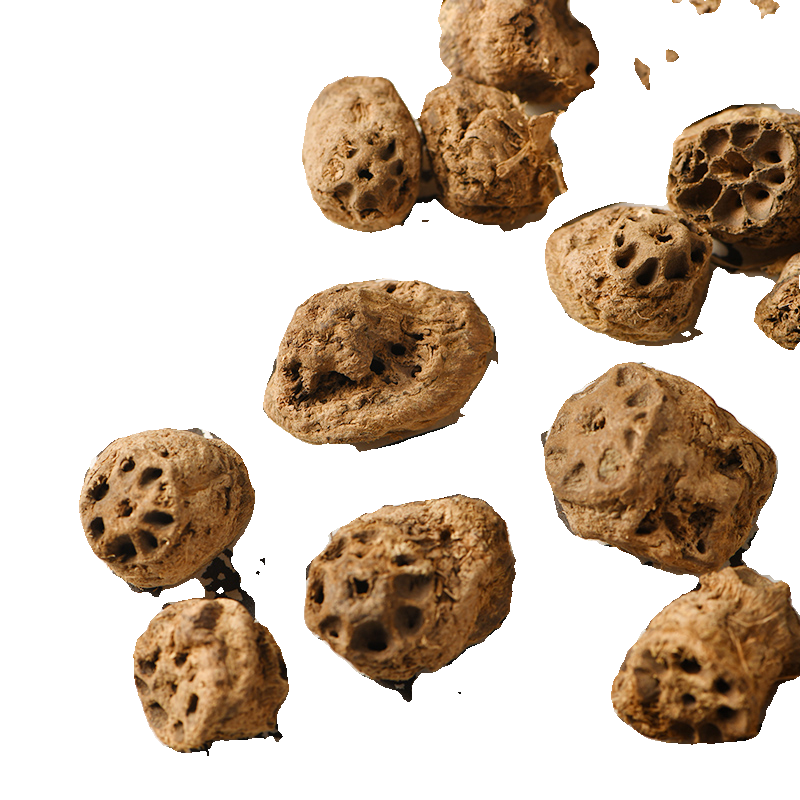 藕节中药材新鲜正品水洗老藕节干药用中草药干藕节芦根白茅根