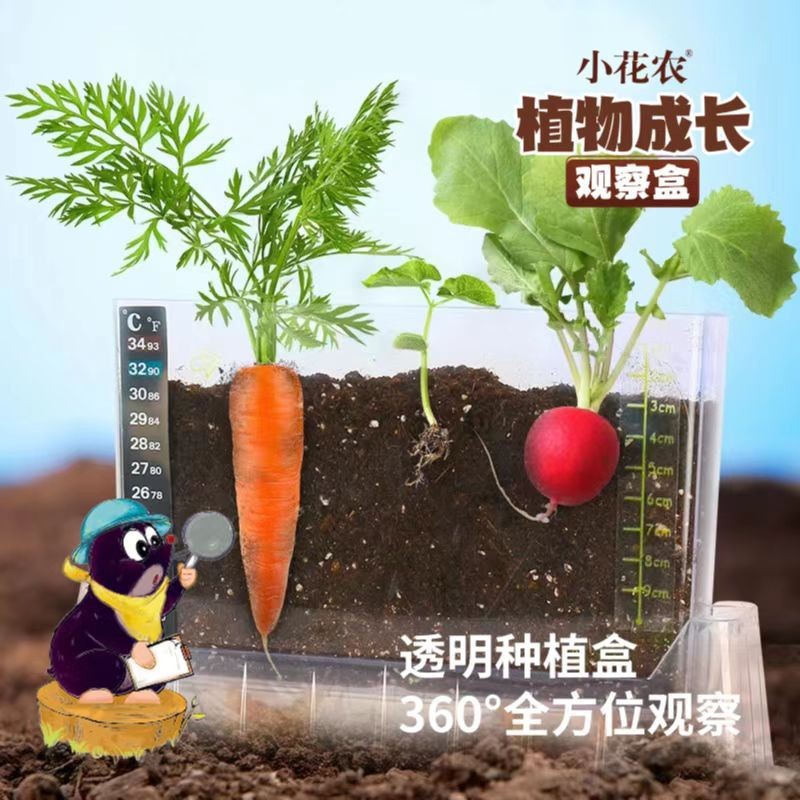 小花农儿童种植小盆栽小农场发芽小植物迷你绿植根系生长观察窗