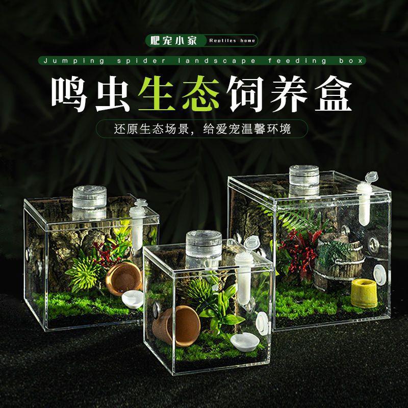 9成交13箱昆虫观察盒爬虫饲养爬宠箱蜘蛛角蛙宠物蚕宝宝守宫蜗