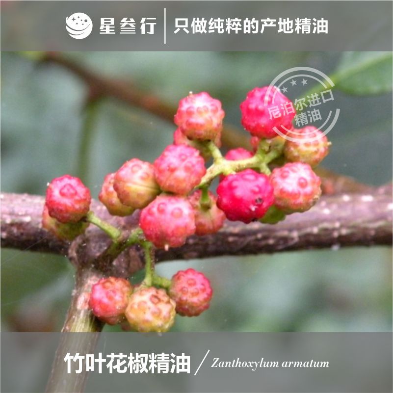 有机竹叶花椒精油尼泊尔产地 芳疗按摩油舒缓香薰精油原料批发