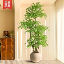 户外落地绿植奢南天竹大型高品质假树盆景摆件轻客厅室内
