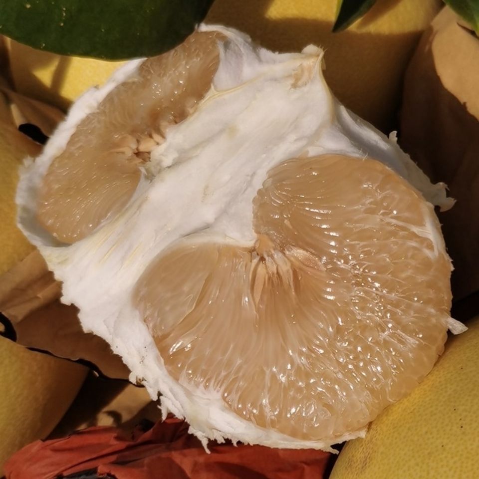 玉环文旦柚精品老树文旦柚台州楚门白肉蜜柚当季孕妇一