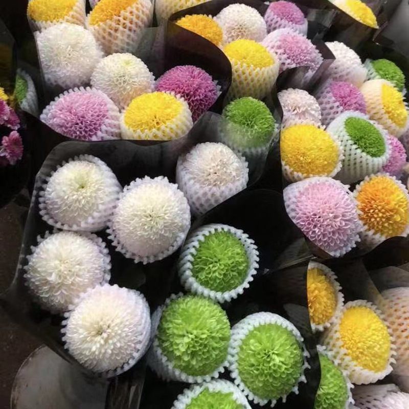 七彩云南鲜花-七彩云南鲜花厂家,品牌,图片,热帖-阿里巴巴