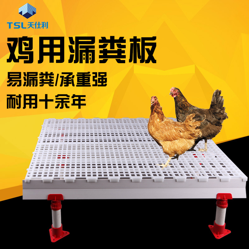 鸡用漏粪板 家禽养殖设备塑料网格板养鸡隔离网 养鸡鸭漏粪板