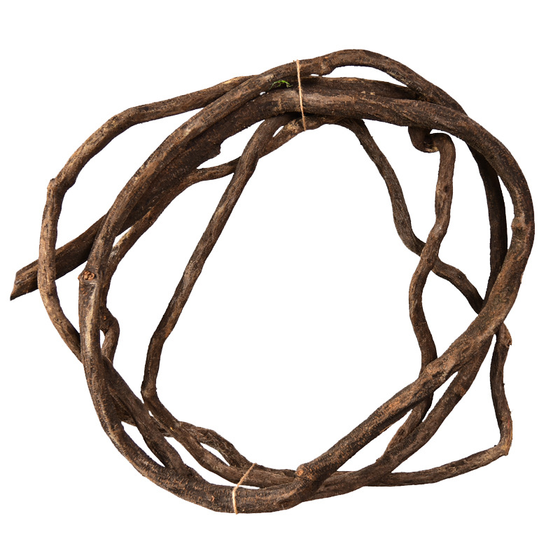 树藤藤蔓枯藤绿植藤条装饰吊顶假树枝干树叶管道植物墙面造景